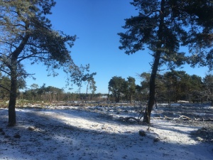 Landschap De Liereman in winters kleedje